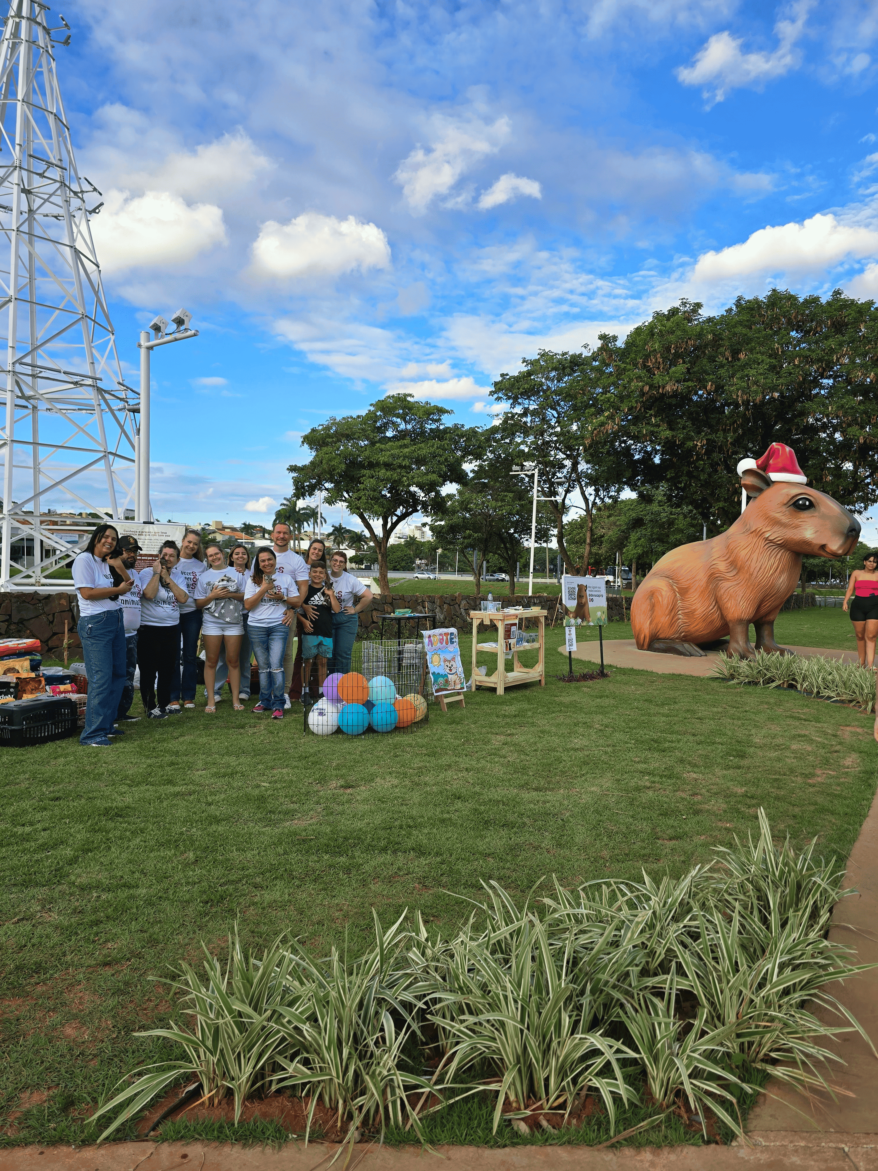 Feira de Adoção Vozes pelos Animais: Um Encontro de Amor, Consciência e Novos Começos